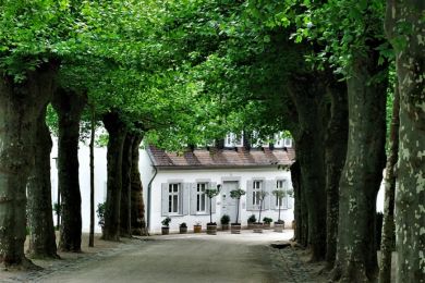 Helga Arnold: Allee
